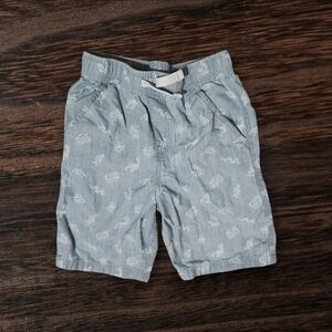 Boy's Shorts Size 10